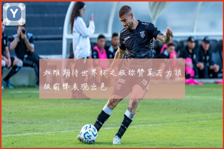 加维期待世界杯之旅称赞莱万为顶级前锋表现出色
